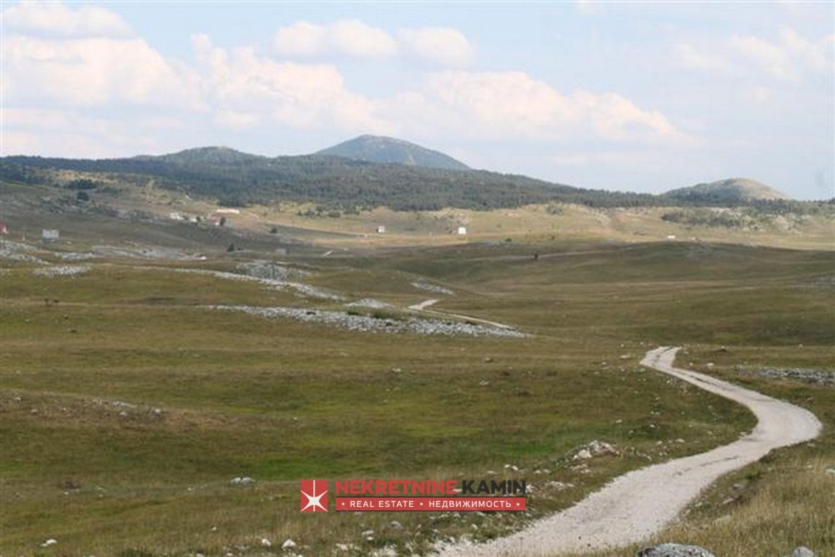 Plac na ravnoj livadi, 5 km od centra Žabljaka